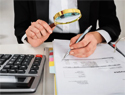 Auditors