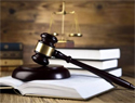 Legal Experts